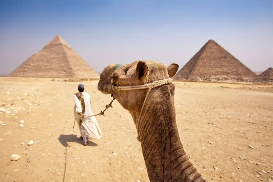 over day  great pyramid and Cairo museum