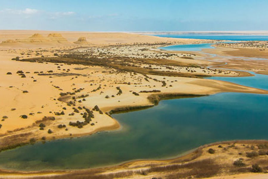 Tour to Fayoum Oasis From Cairo